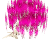 Neon Pink Willow tree