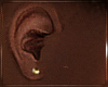 Asteri | Gold Earring L