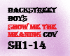 backstreet b-show me-cov
