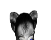 skunk ears