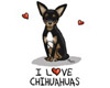[ I love Chihuahua s ]