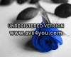 Sexy Blue Rose Club