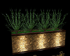 Modern Planter