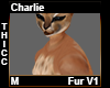 Charlie Thicc Fur M V1