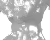 chrome wolf