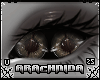 Poeco l Eyes