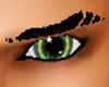 EYES GREEN