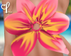𝓛 Tropical top