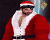 K♛NATAL Blouse Santa