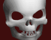 Skull mask (White)
