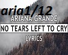 Ariana grande-No Tears
