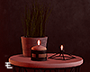 Table, candles, plant