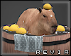 R║ Capybara Bath