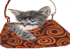 Adina Kitty Purse