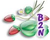 B2N-Glass Strawberries