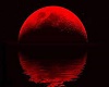 Red Moon Office