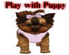 Play with Puppy