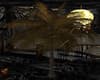 gold palmera