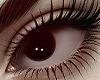 Eyes <
