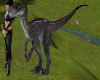 ~TQ~Velociraptor