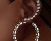 Ring Earrings