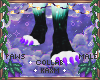 ꨄNordy Pawsꨄ