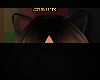 $ [Black.Kitty.Ears]