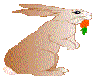 Rabbit  with Carrot