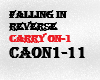 carry on 1