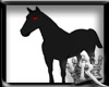 [RB] Ghost Black Horse