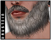 d| Gray Beard III
