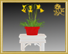 Spring Daffodils w/Table