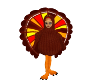 Thanksgiving Turkey Wear