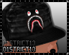 D13l >D Hat