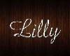 Custom room for Lilly
