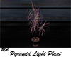 Pyramid Light Plant Anim