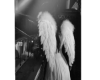background angel