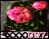 007 Pink Rose vine