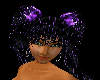 Nymph purple