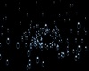 |L| Underwater Bubbles