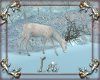 Winter Stag 2