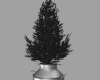 Black Christmas Tree