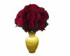 folres rosas