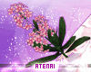 ❄ Sakura Flowers V.1
