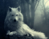 white wolf emipre