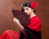 Flamenco and fan