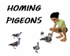 HOMING PIGEONS
