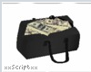 SCR. Money Bag