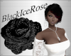 [BIR]Samira *red&black