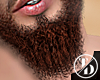 | FRX. | Beard